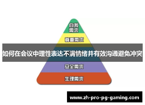 如何在会议中理性表达不满情绪并有效沟通避免冲突