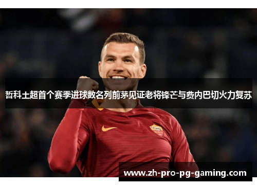 哲科土超首个赛季进球数名列前茅见证老将锋芒与费内巴切火力复苏